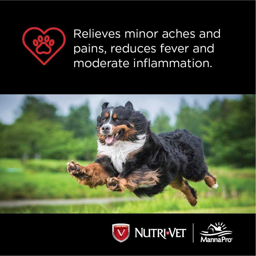 Aspirin for Large Dogs K788