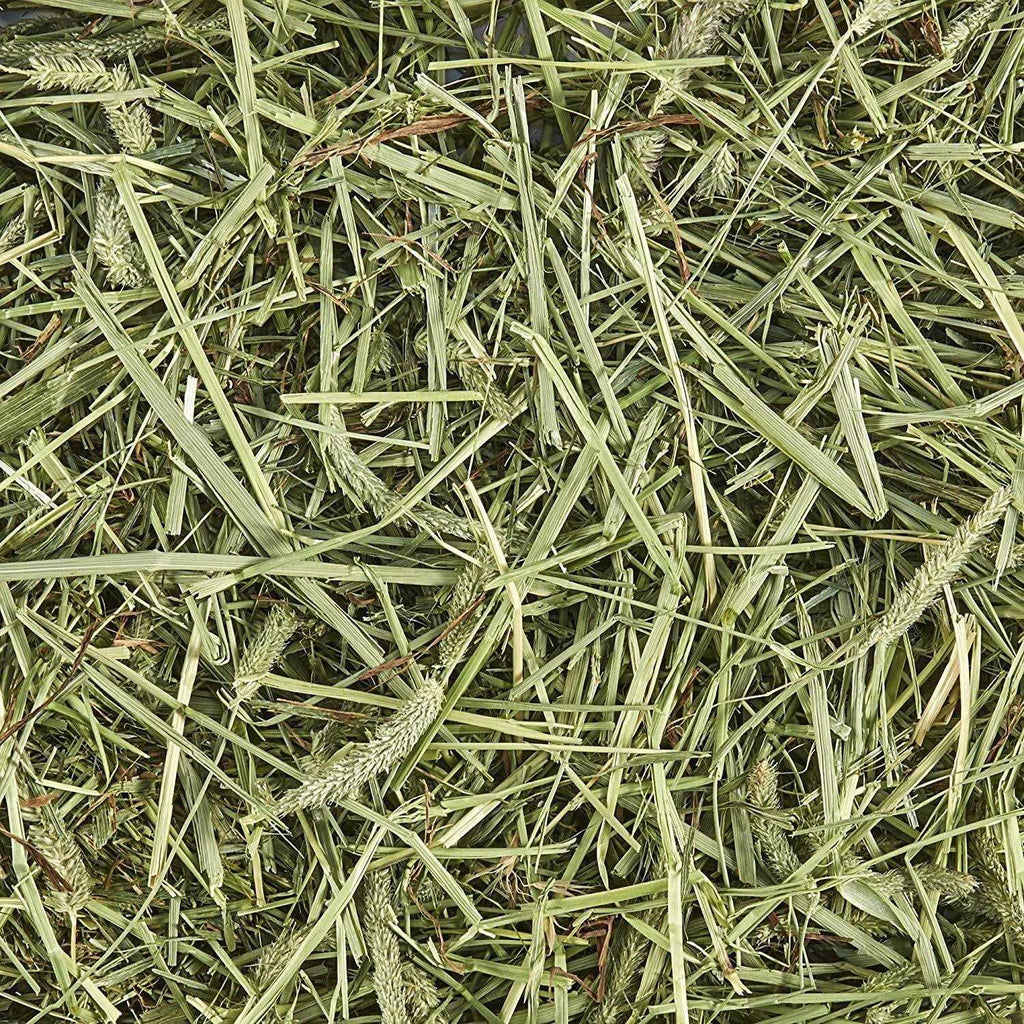 Natural Timothy Hay J6458