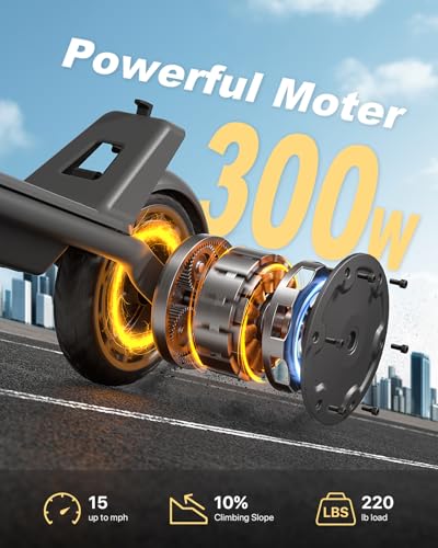 300W Electric Scooter with 7.5AH Battery, 15.5 mph Speed, 11 Miles Range, 8in Solid Tires T113