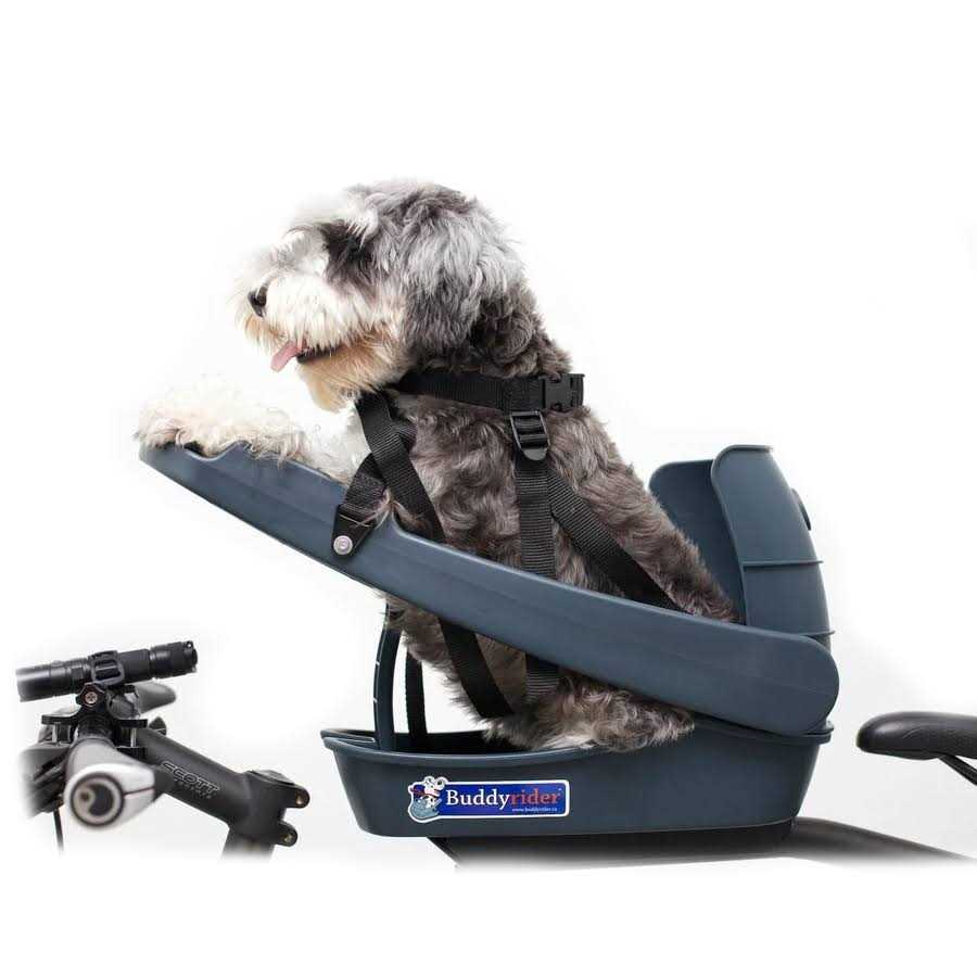 Dog Bicycle Seat Q19936