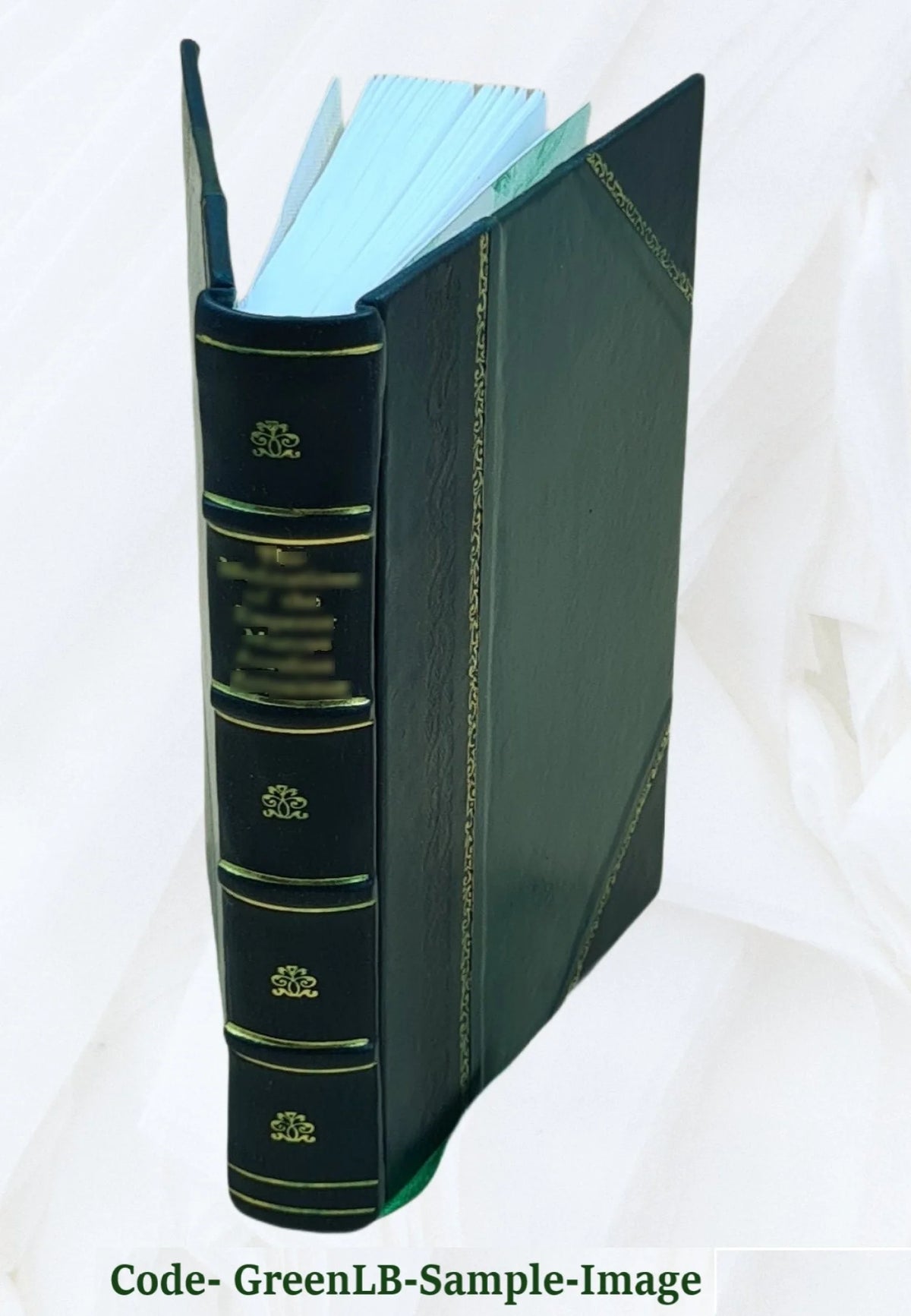 Connecticut Agricultural Experiment Station Report 1900-01 Leather Bound P717220