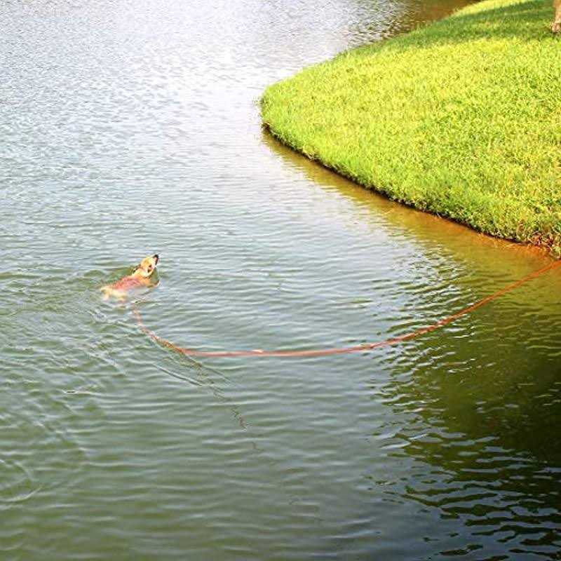Check Cord Dog Leash Long Lead Training Tracking Line 10ft 15ft 30ft 50ft O664691