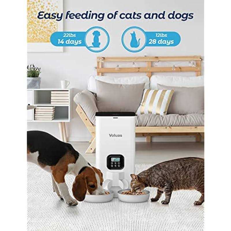 Automatic Cat Feeder with 2 Stainless Steel Bowls Z58890