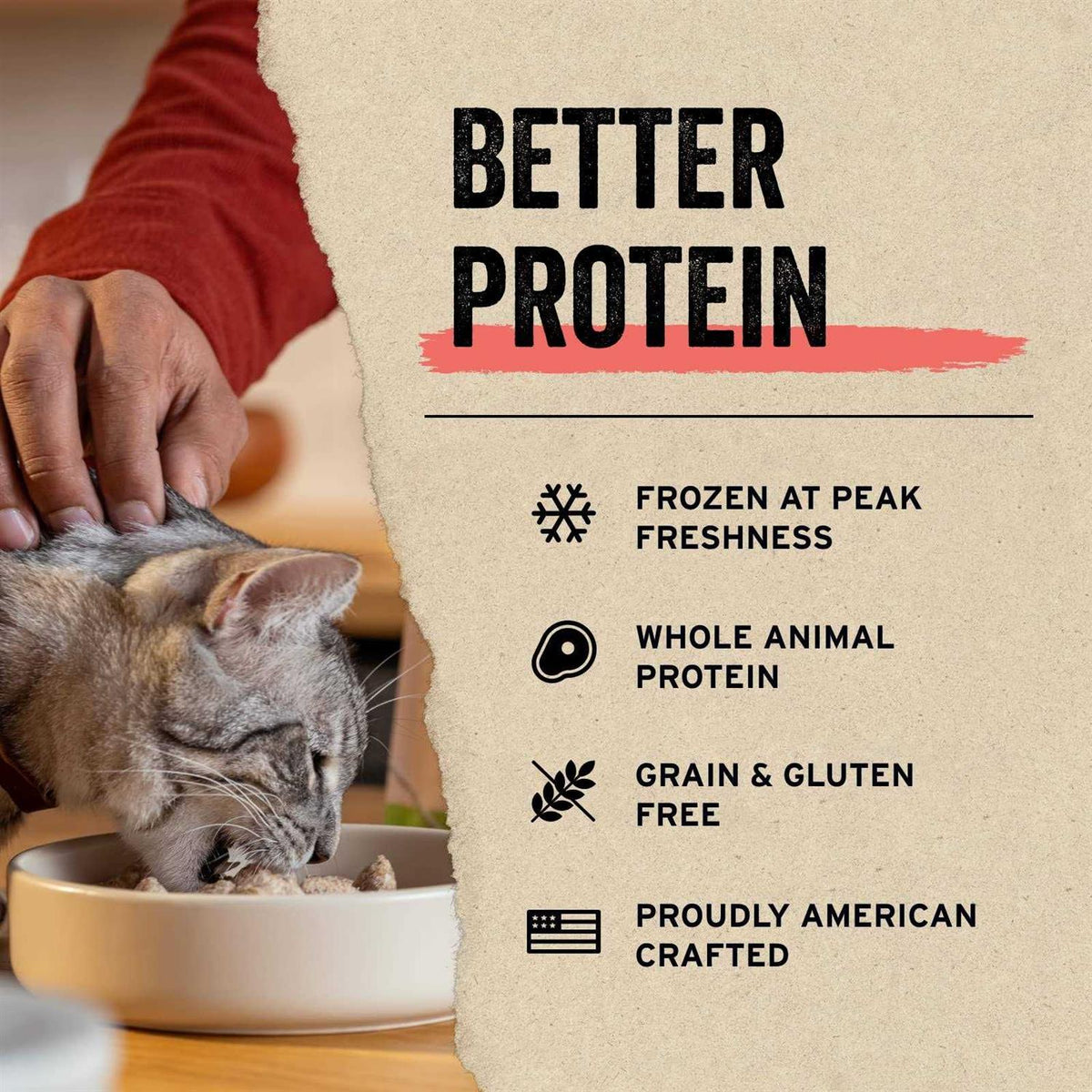 Freeze-Dried Raw Cat Food Q9872