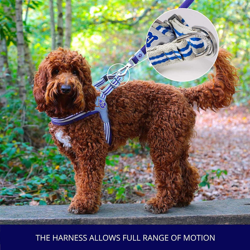 Dog Harness U255919