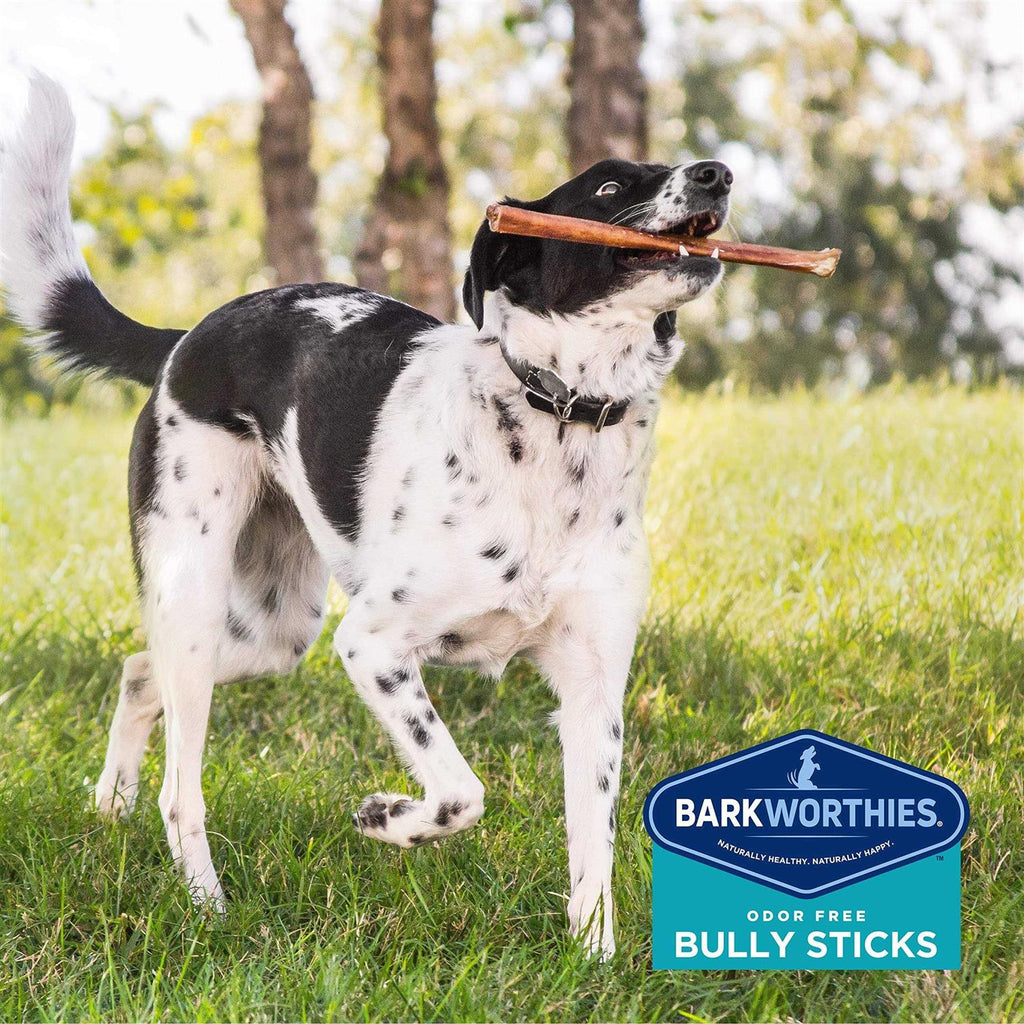 Odor Free Bully N5617
