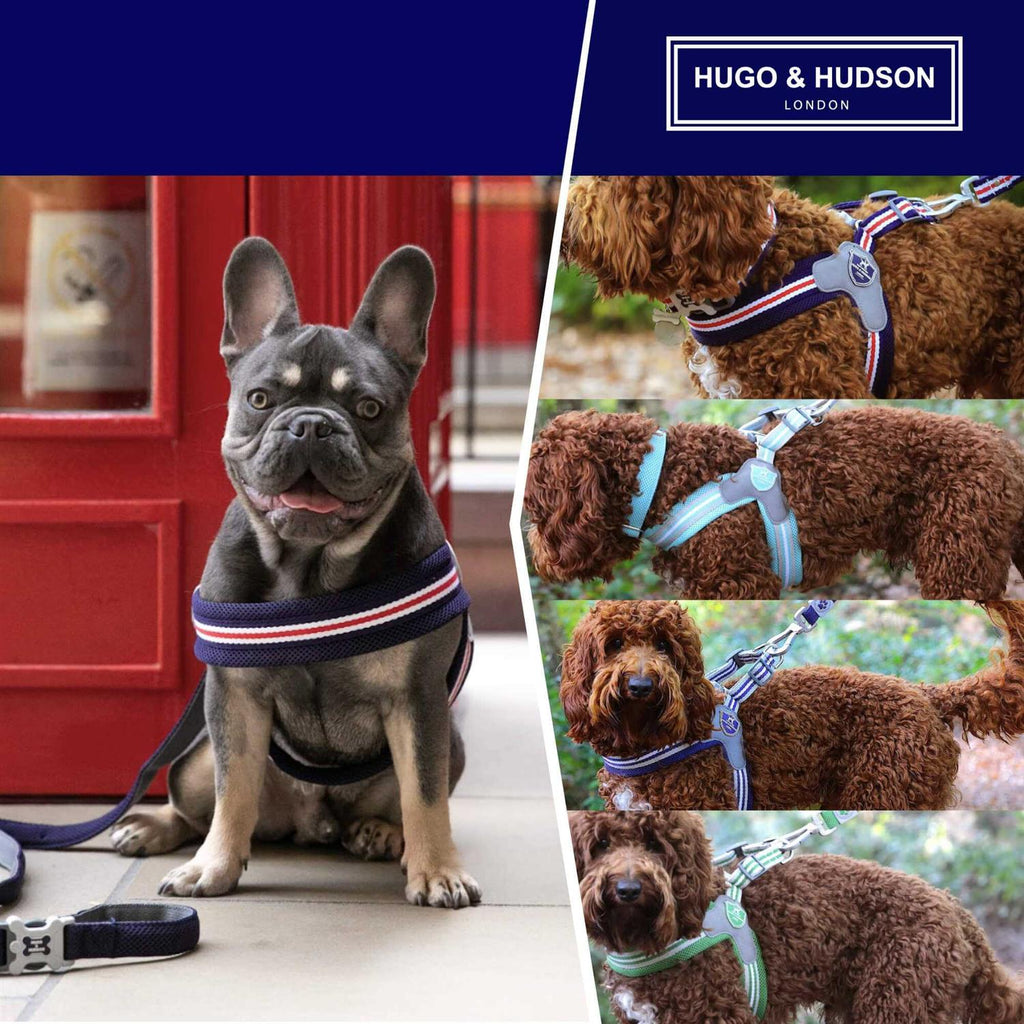 Dog Harness U255919