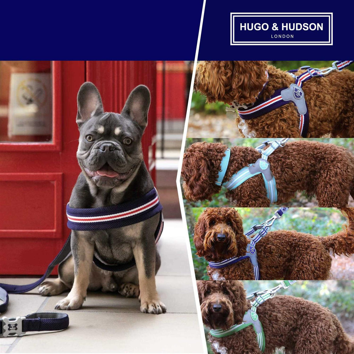 Dog Harness U255919