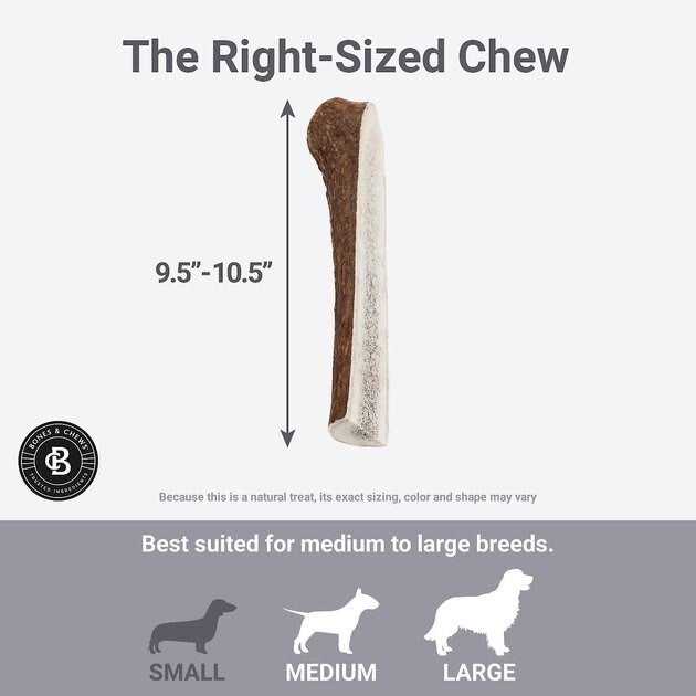 Elk Antler Split Dog Chew T43846