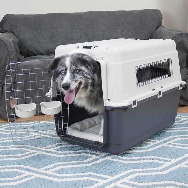 Dog Crate R358976