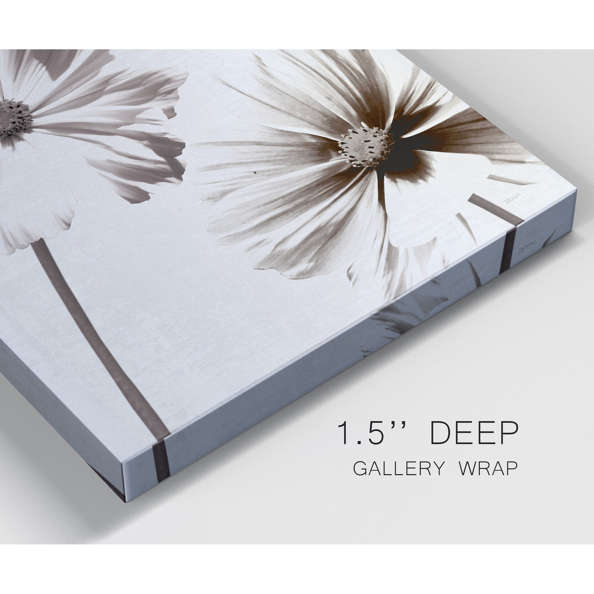Gallery Wrapped Canvas 10X10 H54569