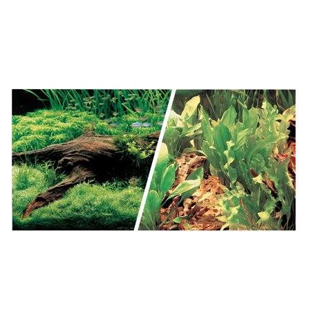 Aquarium Background K908
