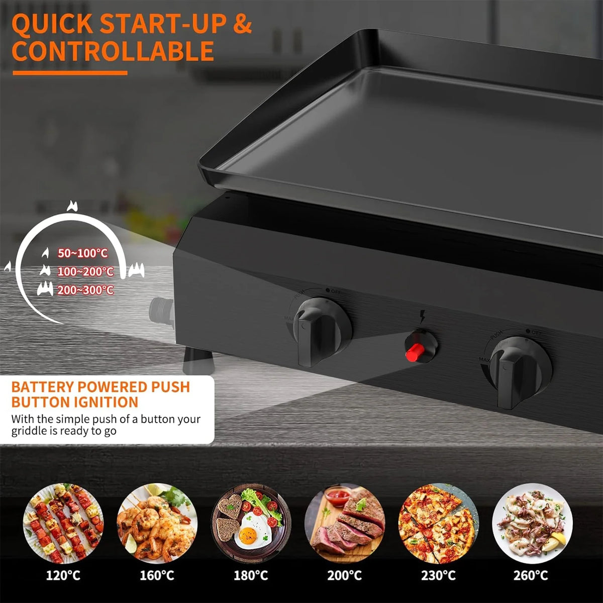 4-Burner Propane Gas BBQ Grill Cooking Station N188
