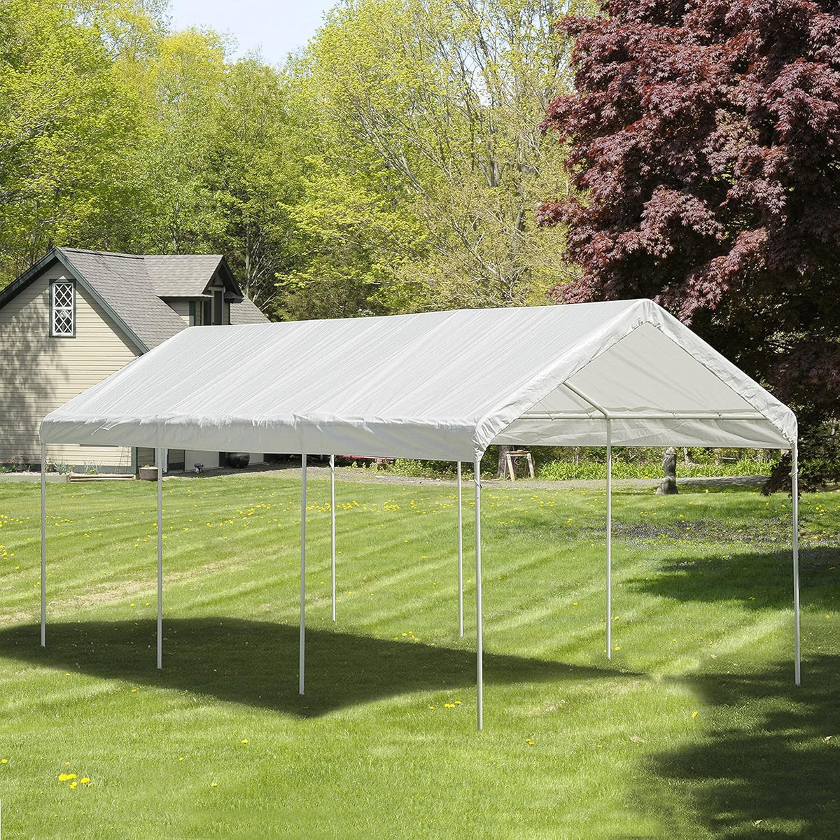 10' x 20' Steel Carport Canopy with Enclosure Kit S87890