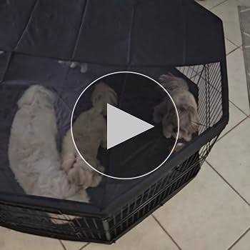 8 Panels Foldable Metal Dog Exercise Pen with Top Cover and Bottom Pad B664840
