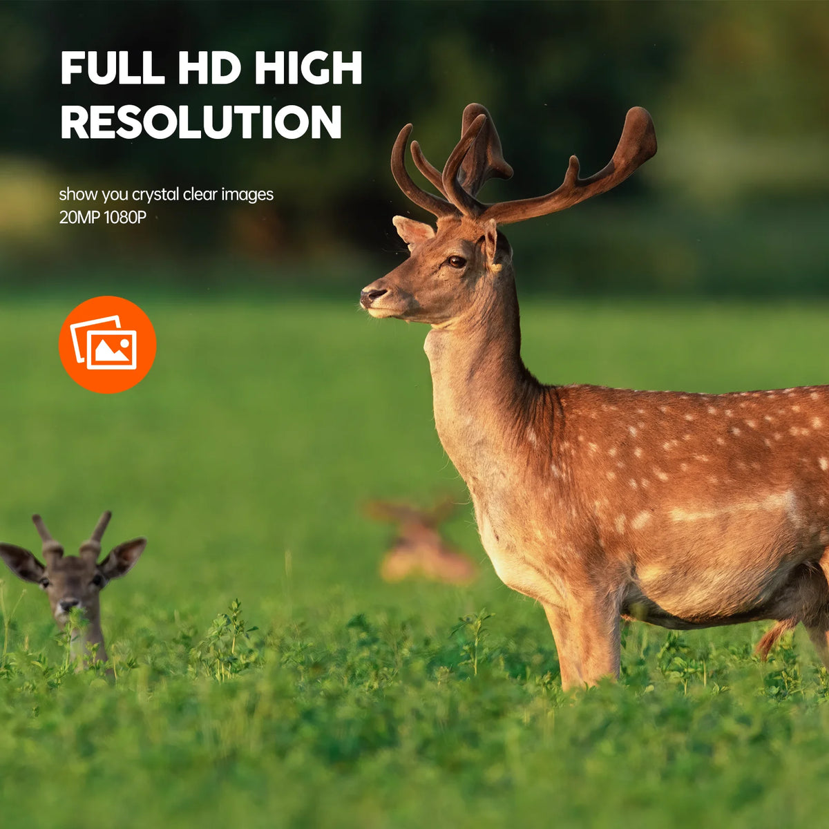 24MP 1080P Infrared Night Vision Waterproof Trail Camera with 2.0" LCD Screen Y326443