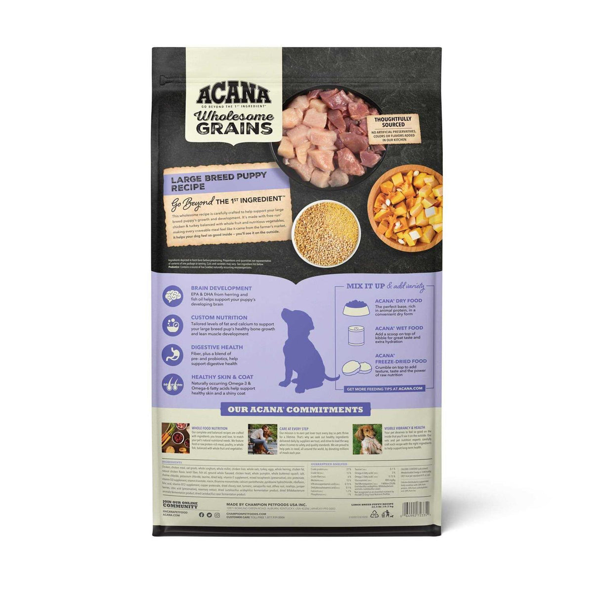 Acana Wholesome Grains Puppy Recipe Dry Dog Food T439310