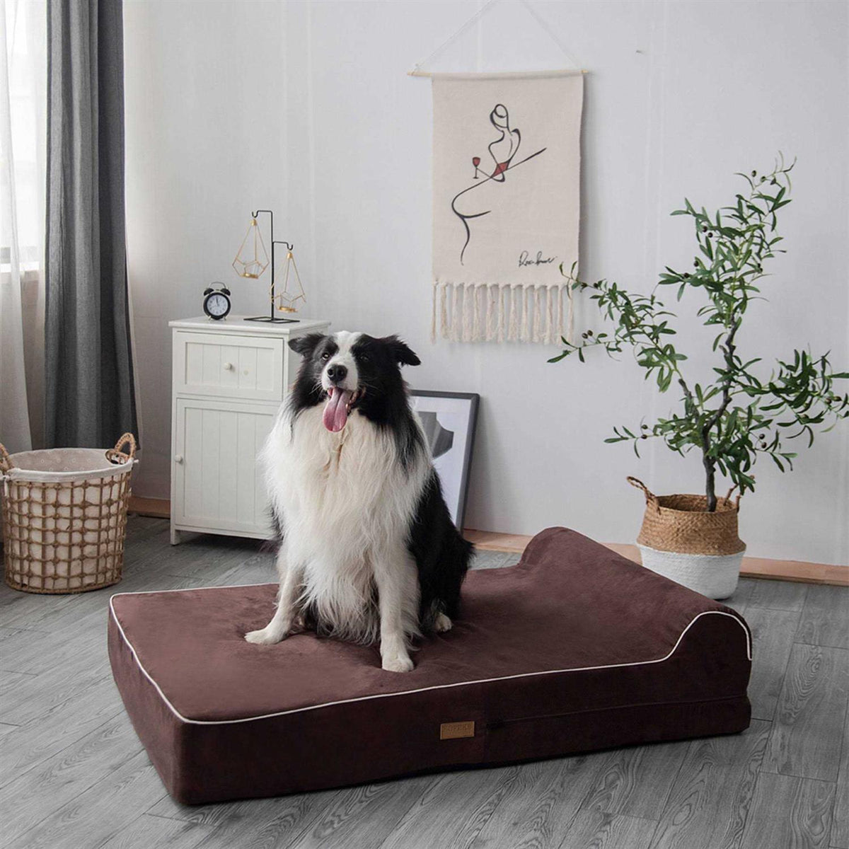 Dog Bed with Pillow Memory Foam M2683