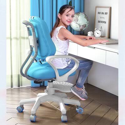 Blue Ergonomic Desk Chair P401