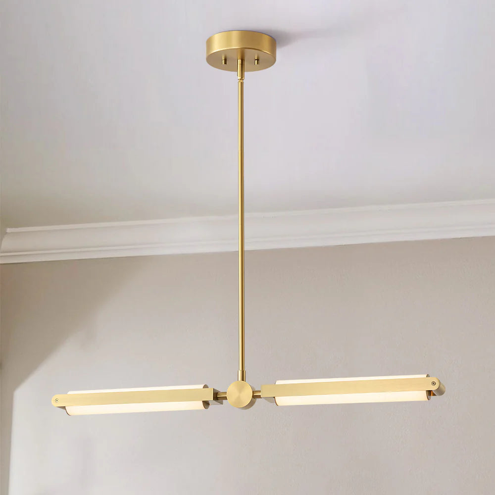 2-Light Integrated LED Contemporary Pendant F1829