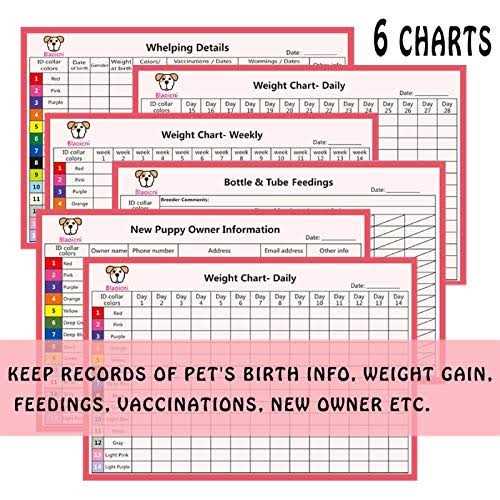 Soft Nylon Adjustable Breakaway Puppy ID Collar 14 Pc I290105