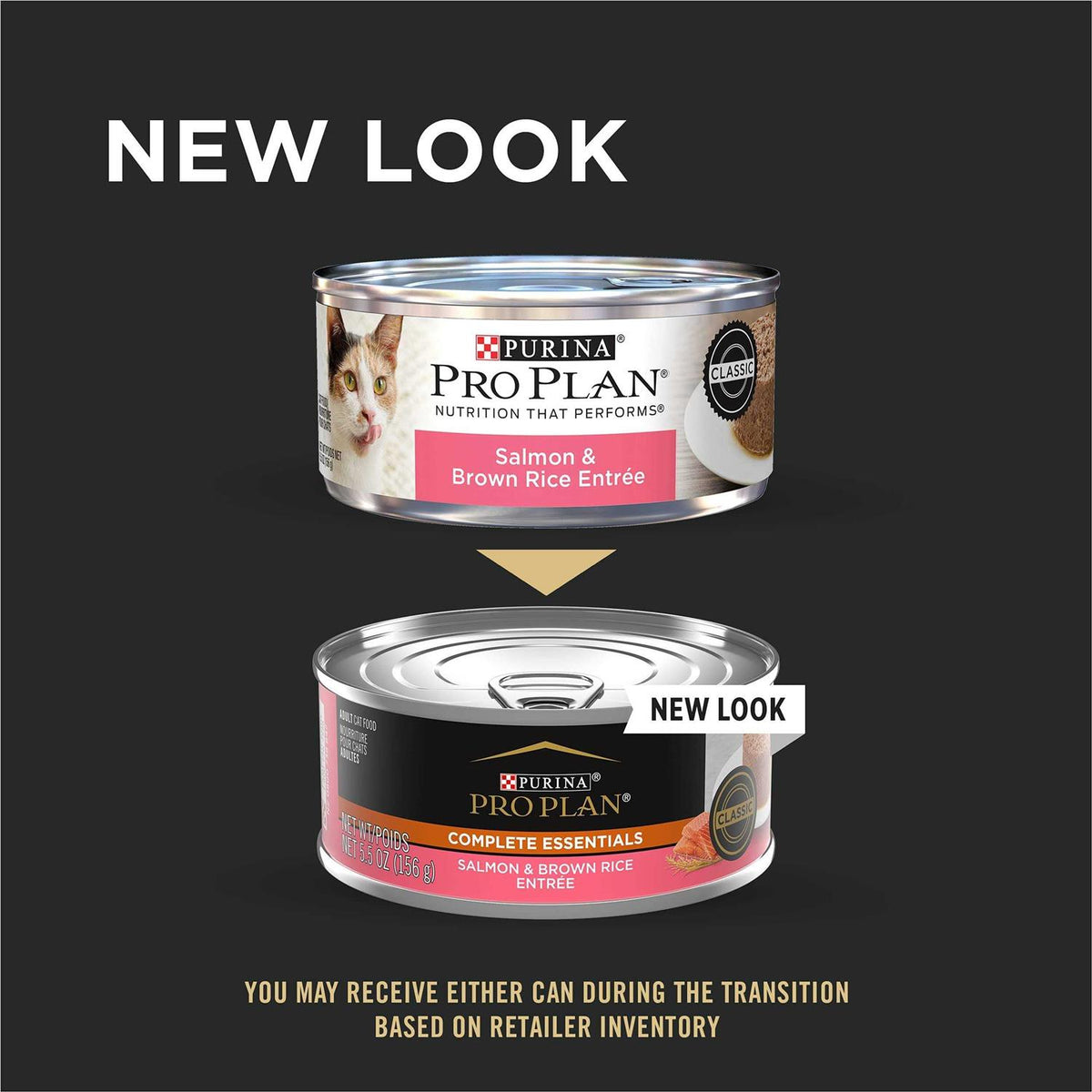 Wet Cat Food R654