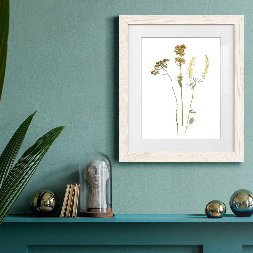 Framed Print 23X32 Maple O144547