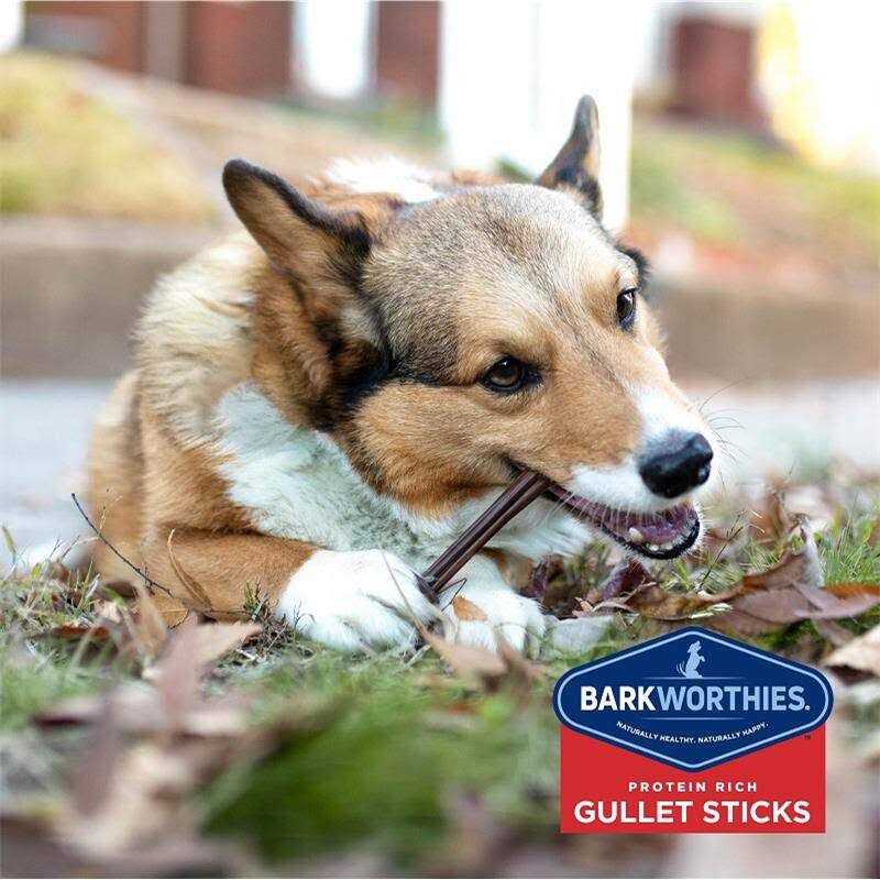 Odor Free Bully N5617