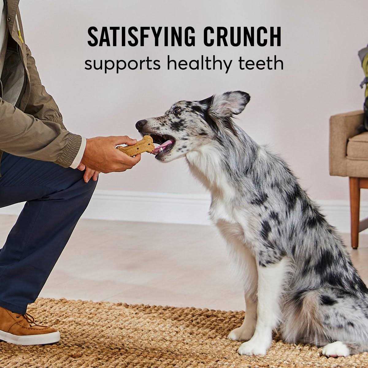 Chicken & Rice Flavor Large Biscuit Dog Treats M15642