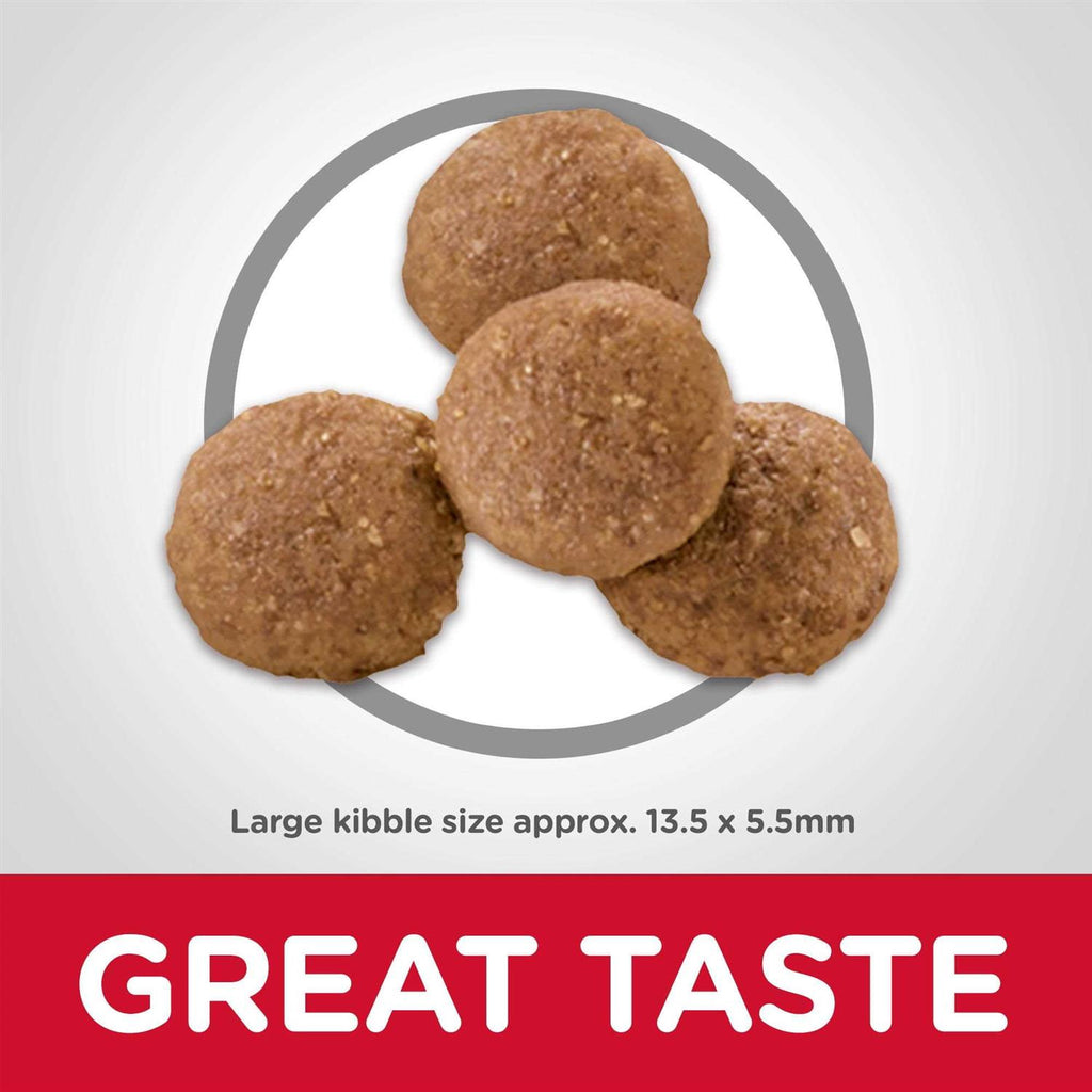Large Breed Puppy Chicken Recipe Dry Dog Food G44950