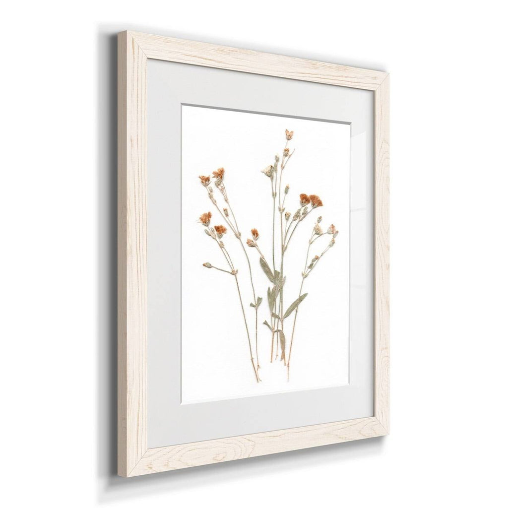 Framed Print 23X32 Maple K201710