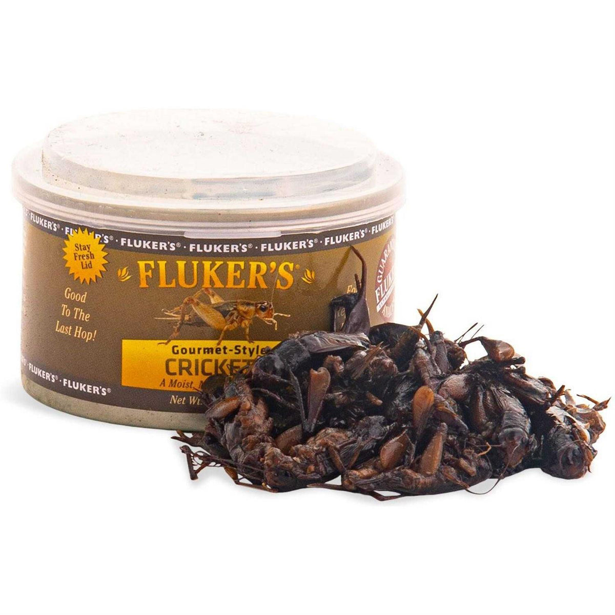Canned Crickets L69520