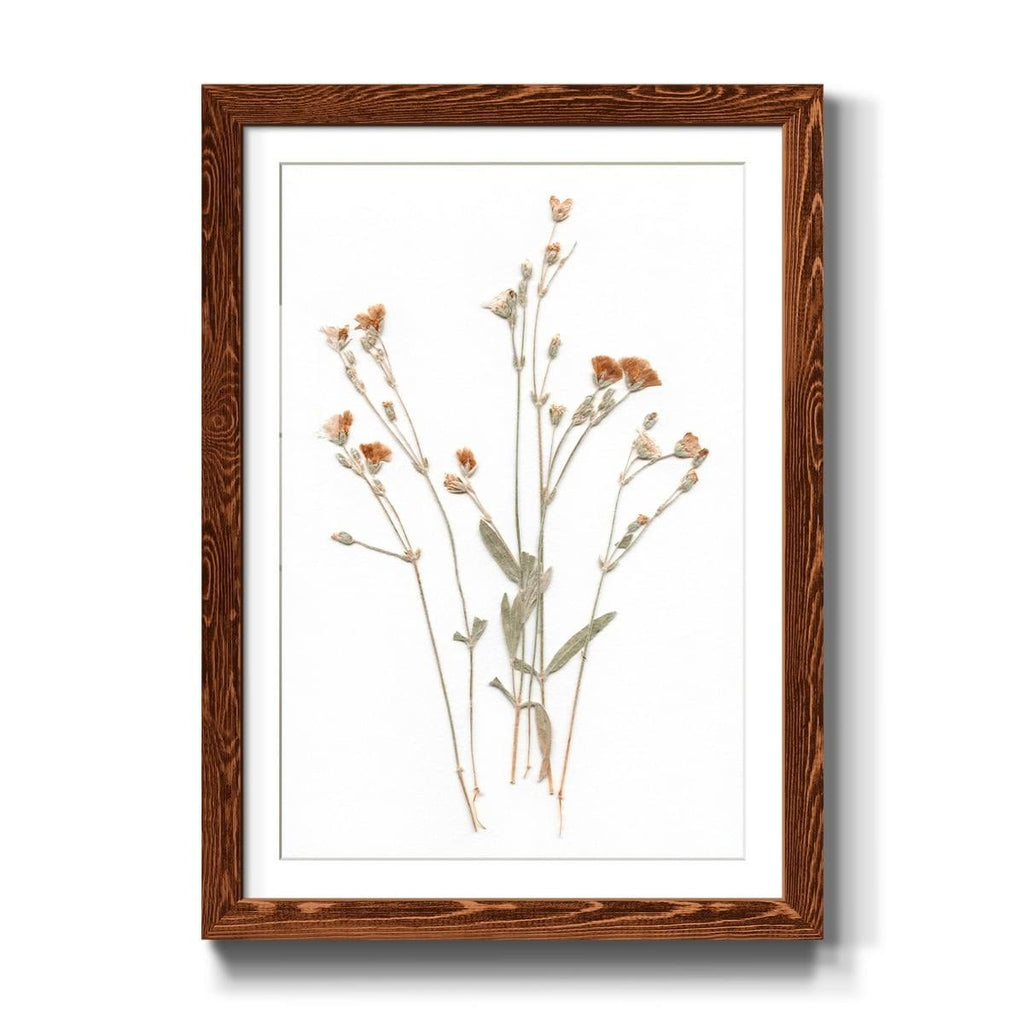 Framed Print 23X32 Maple K201710