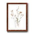 Framed Print 23X32 Maple K201710