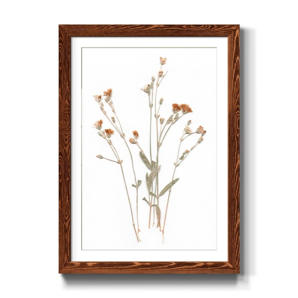 Framed Print 23X32 Maple K201710