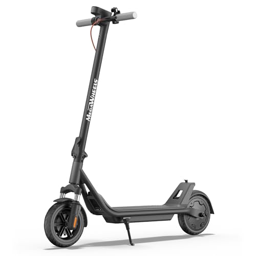 300W Electric Scooter with 7.5AH Battery, 15.5 mph Speed, 11 Miles Range, 8in Solid Tires T113
