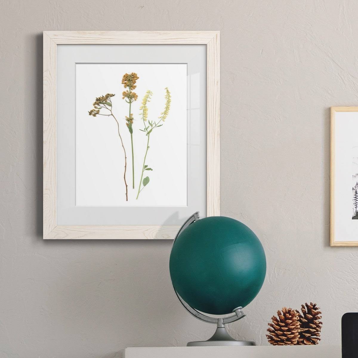 Framed Print 23X32 Maple O144547