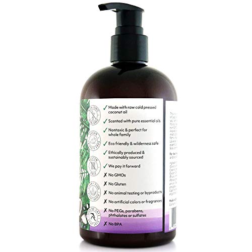 12 oz Fragrance Free Face & Body Lotion T7946