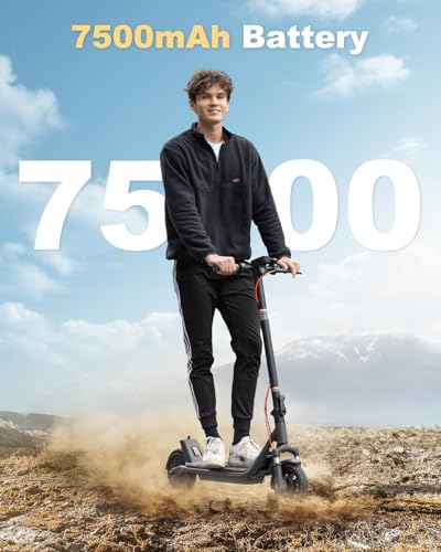 300W Electric Scooter with 7.5AH Battery, 15.5 mph Speed, 11 Miles Range, 8in Solid Tires T113