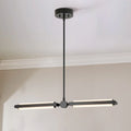 2-Light Integrated LED Contemporary Pendant F1829