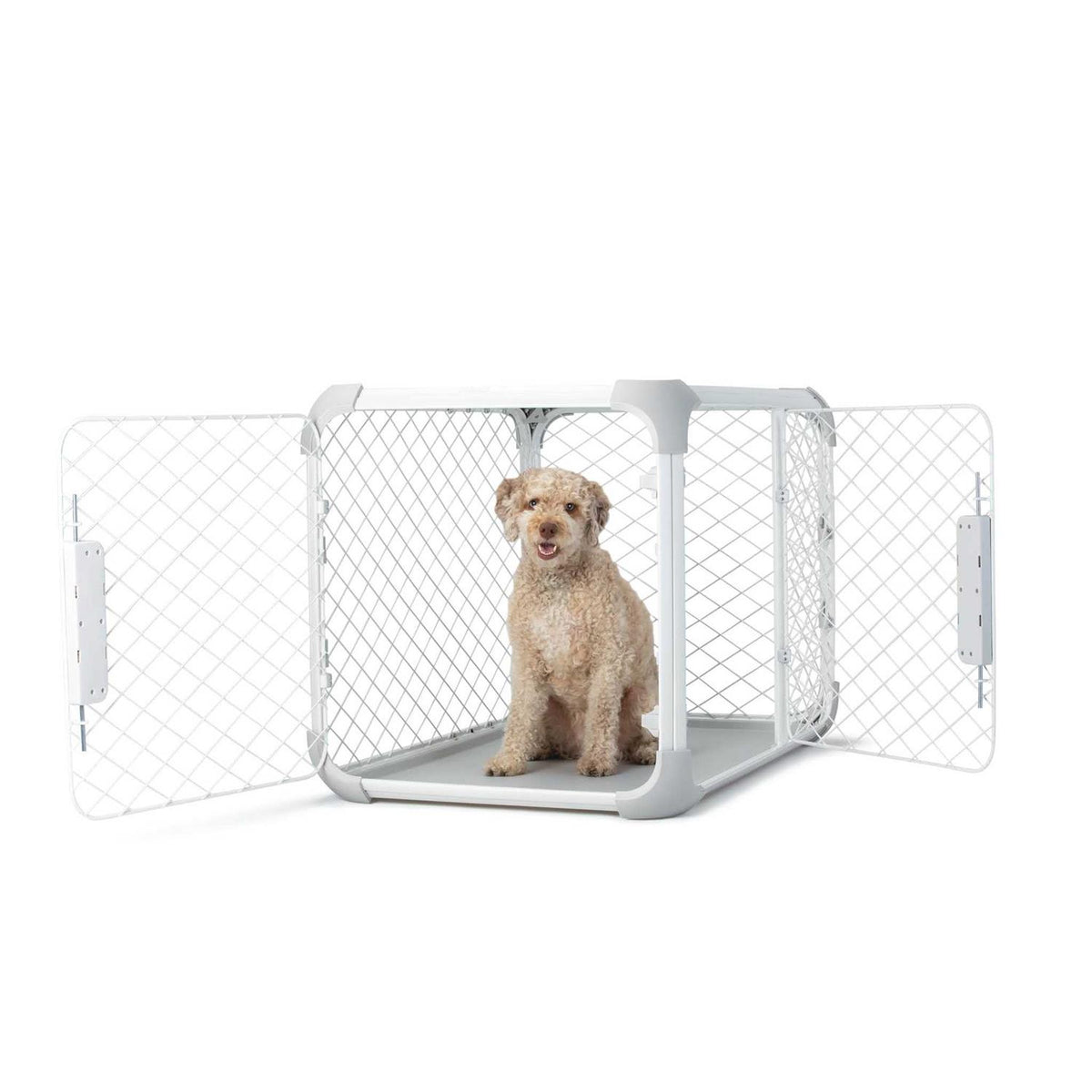 Dog Crate N345425