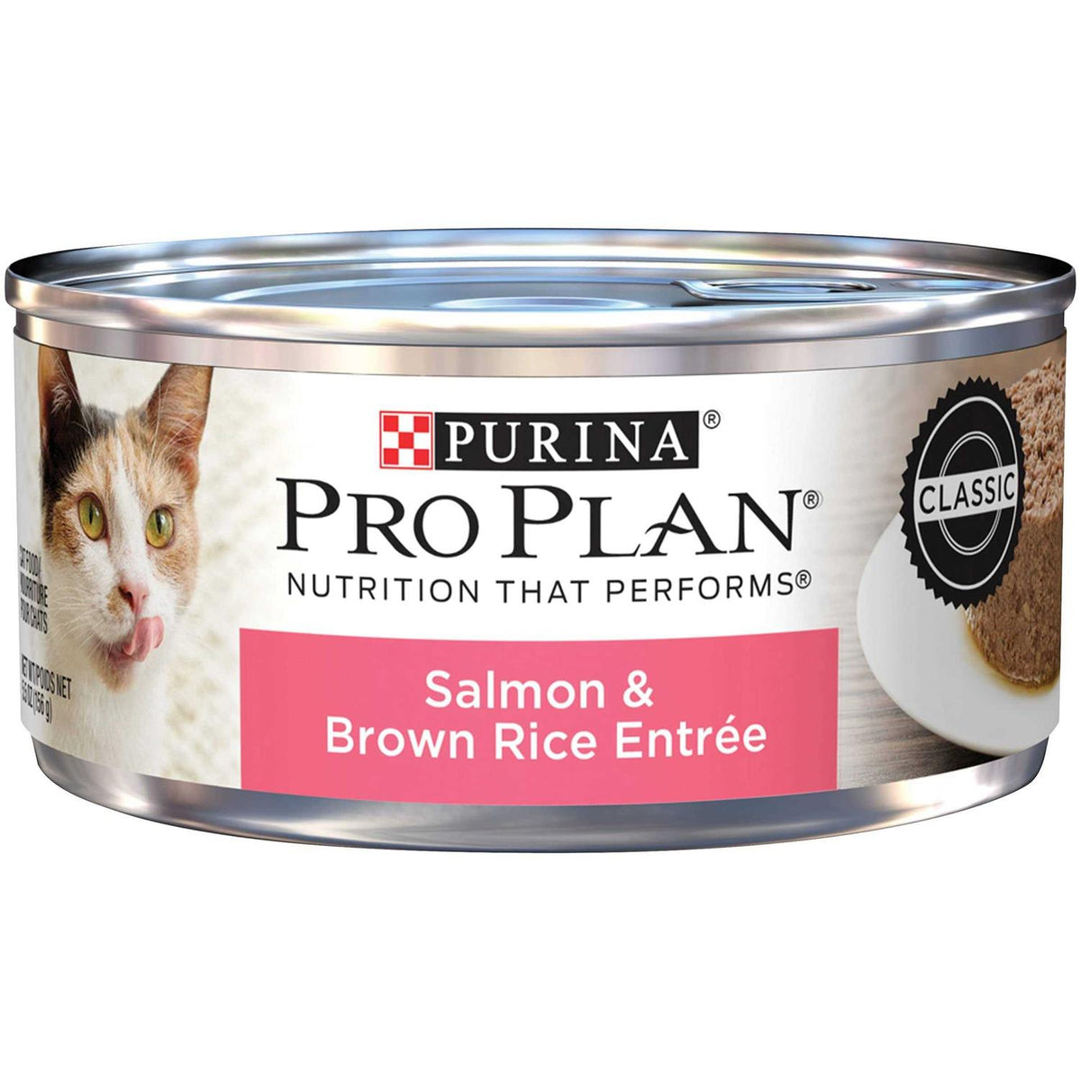Wet Cat Food R654