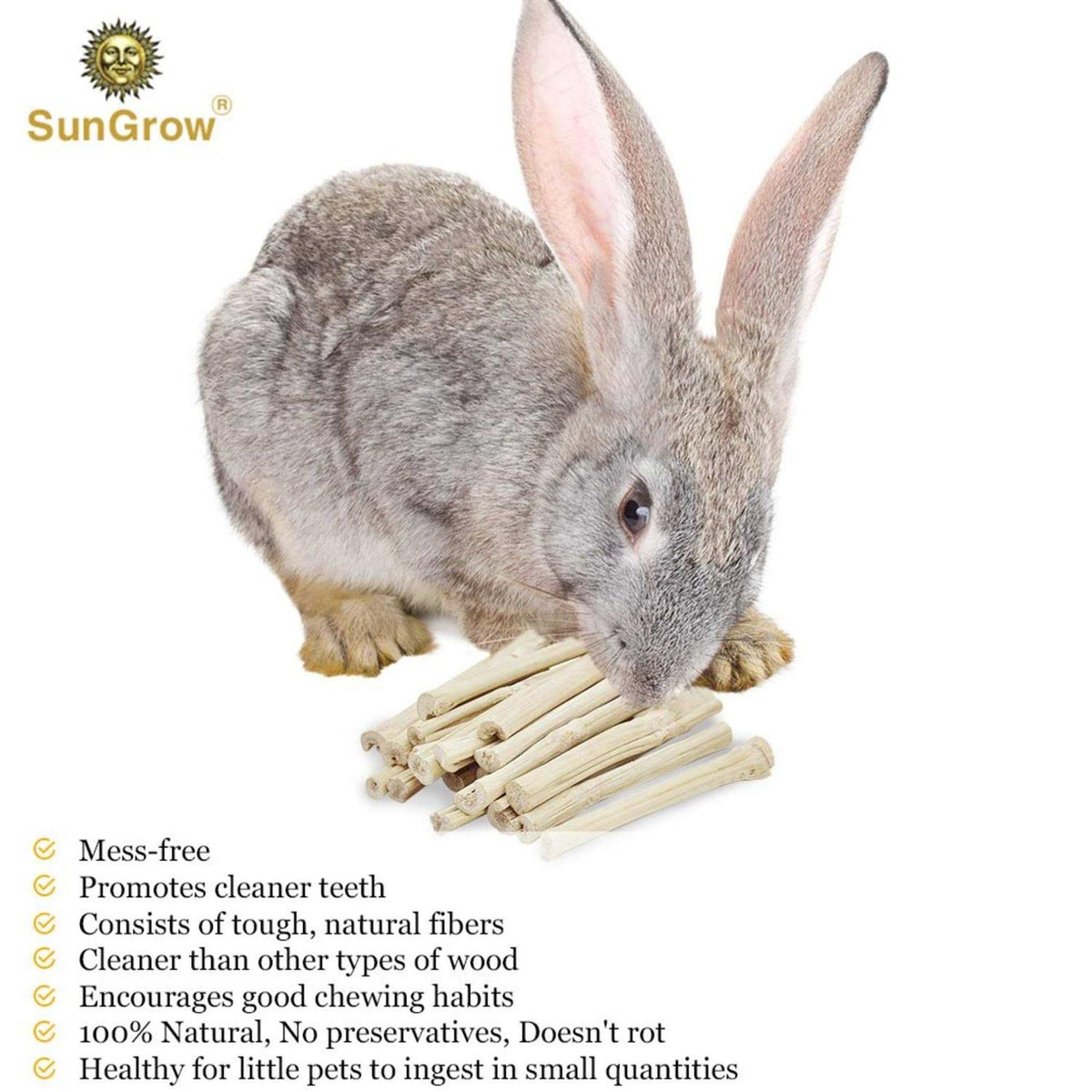 Bamboo Chew Sticks Small-Pet Dental Treats & Snacks V179