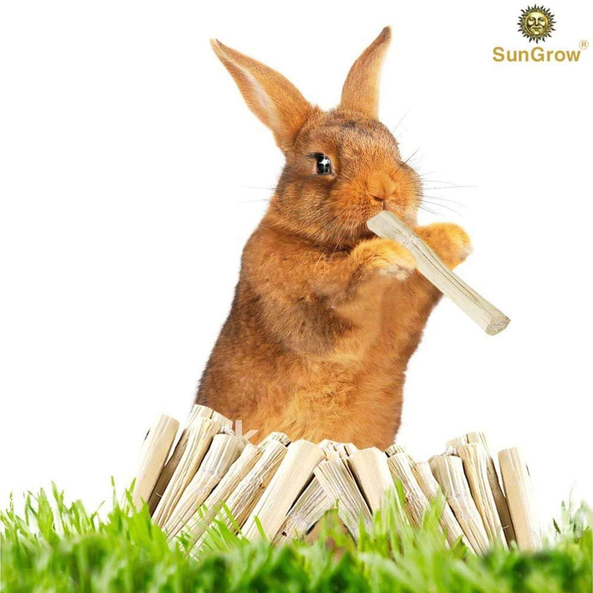 Bamboo Chew Sticks Small-Pet Dental Treats & Snacks V179