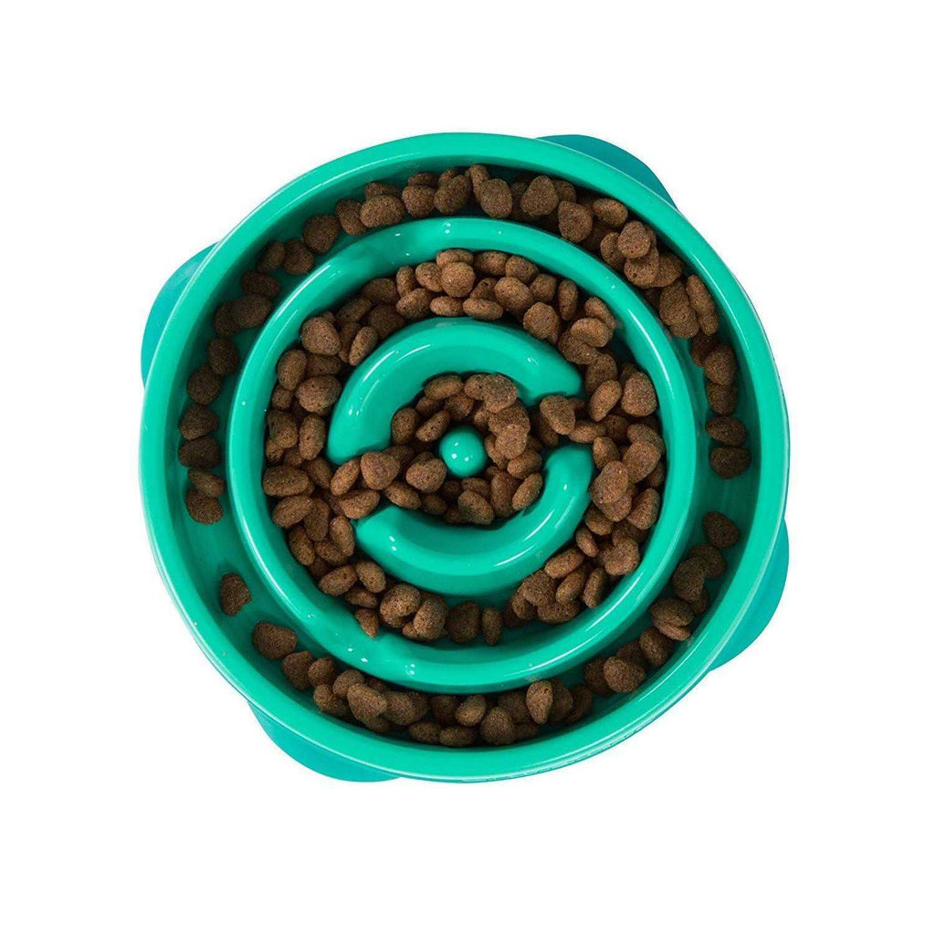 Fun Feeder Dog Bowl W5261