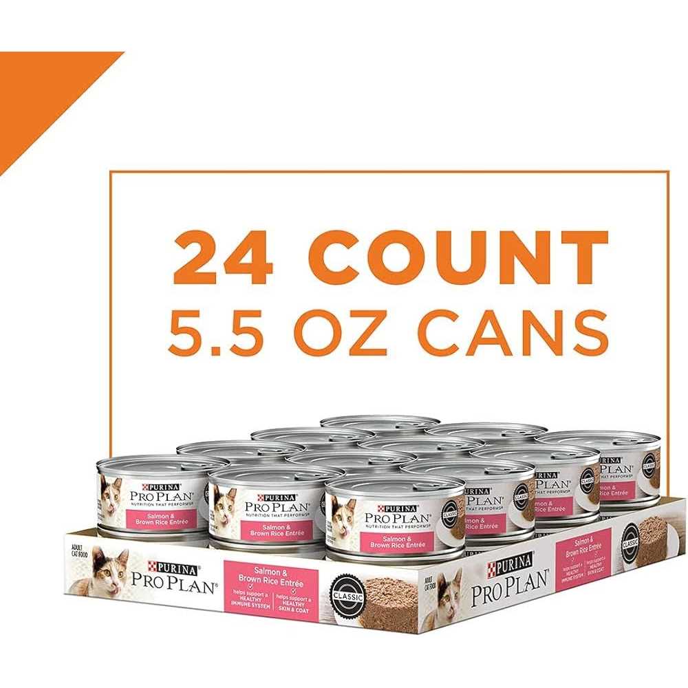 Wet Cat Food R654