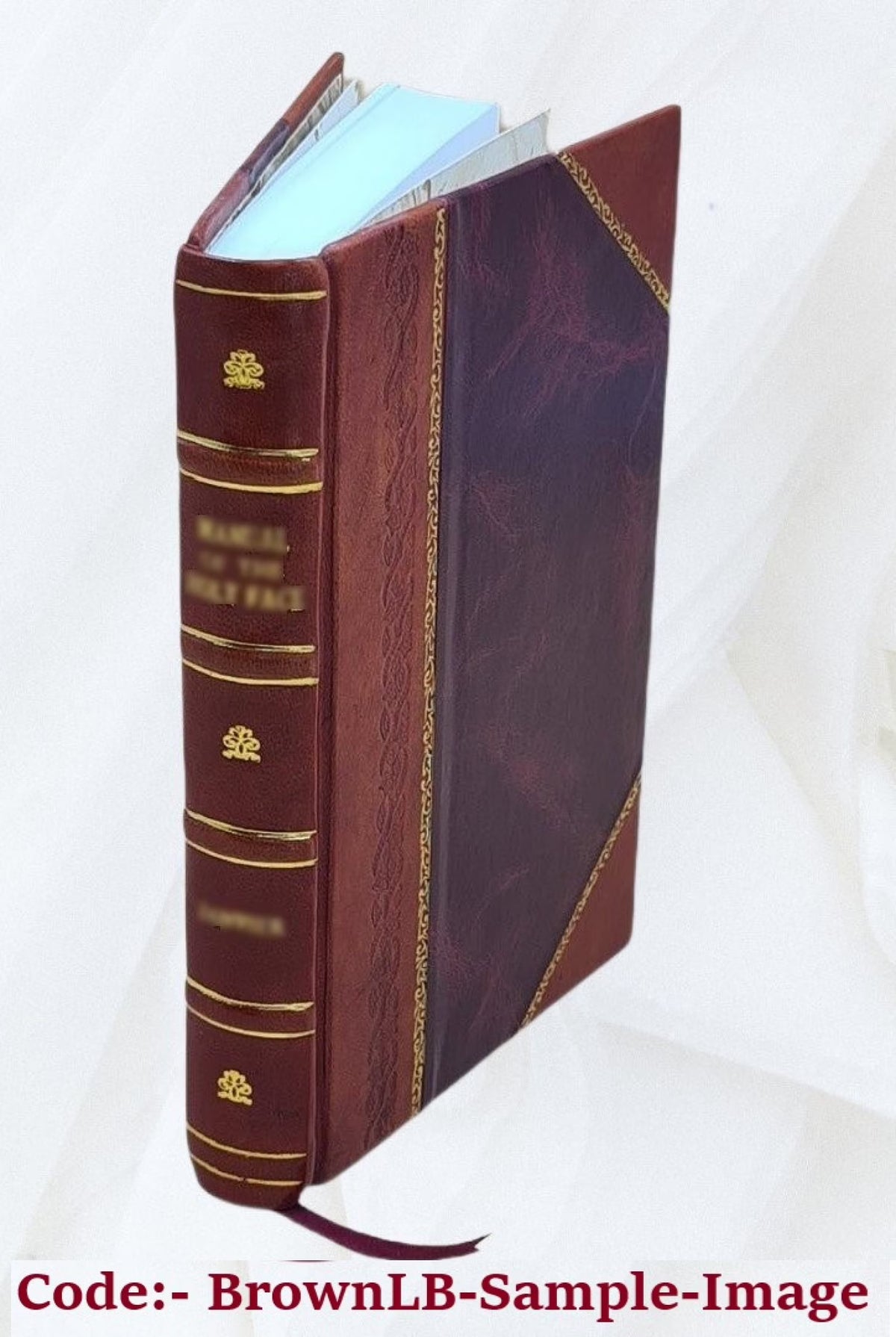 Die Gestalt der Dogmatik in der lutherischen Kirche seit Morus 1806 V8162